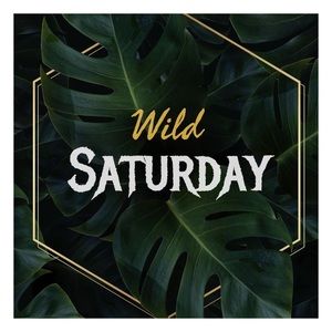 SATURDAY 3/21 👉🏼